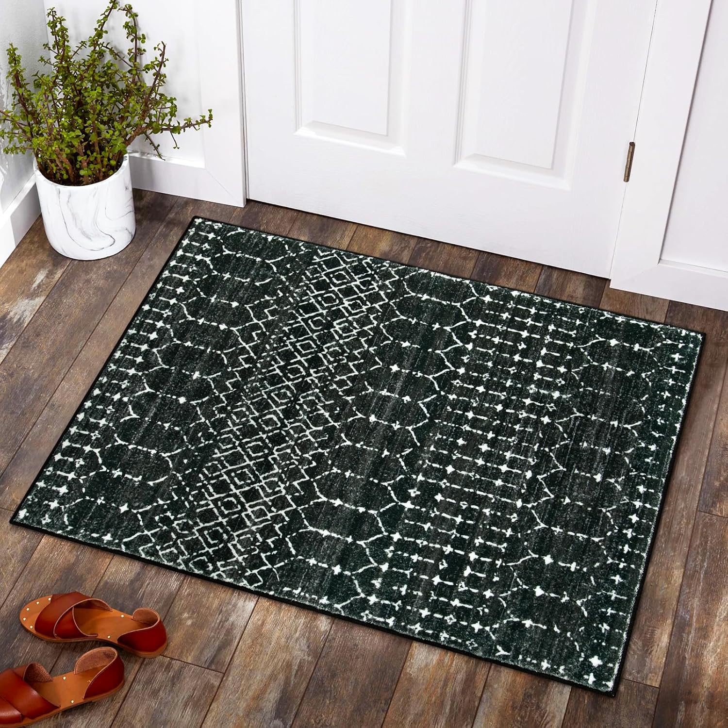 Non-slip Washable Interior Front Doormat