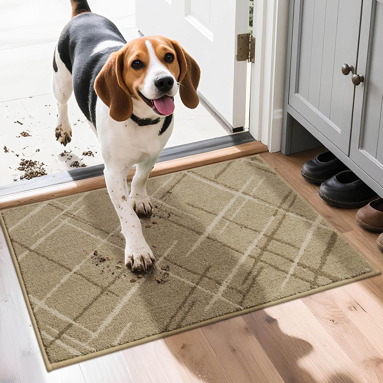 Low, Non-Slip Front Door Mat - Image 2